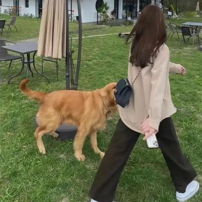 暴力特区