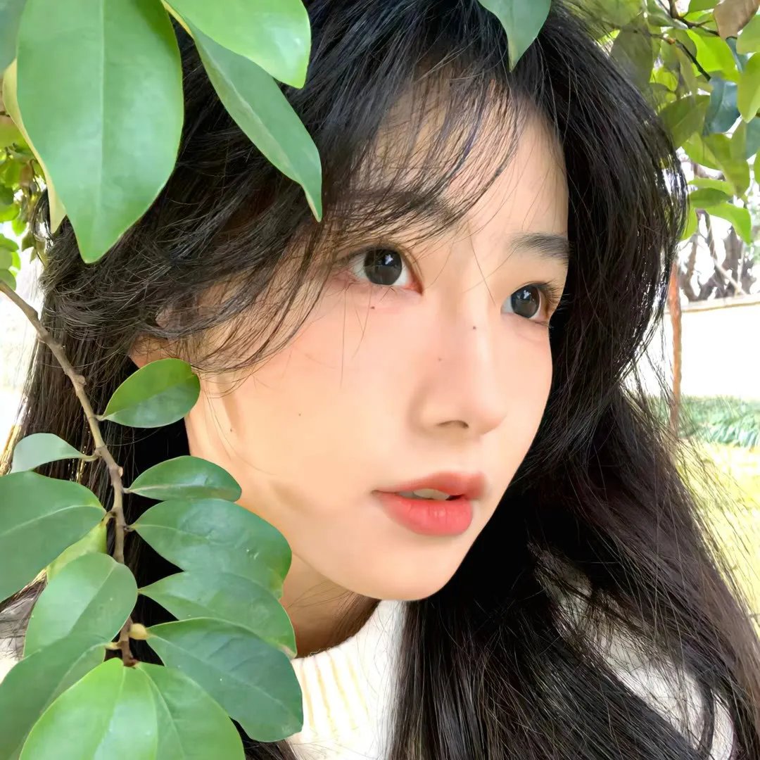 婆婆和妈妈第一季