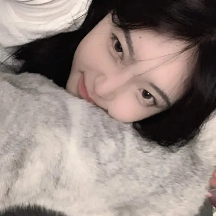 伊拉克碎片
